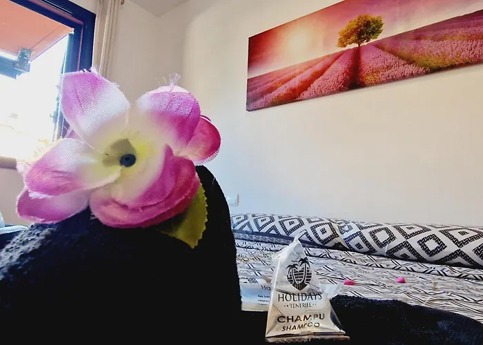 Vakantiehuis Paraiso 2 Bedroom Terrace Wifi Free