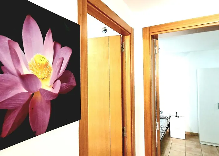 Paraiso 2 Bedroom Terrace Wifi Free